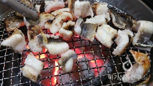 [go to 임신&食] 장어 먹으면 생식력 증가될까?