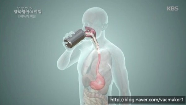 출처 KBS 생로병사의 비밀, 캔 속의 음식물에도 비스페놀 A의 성분이 자연히 스며든다.