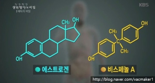 출처: KBS 생로병사의 비밀, 비스페놀 A는 성호르몬인 에스트로겐과 구조가 매우 비슷해서 몸에 유입이 되면 에스트로겐처럼 몸에서 활약하게 된다.