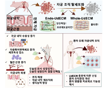 UdECMs 기반 하이드로젤의 효과
