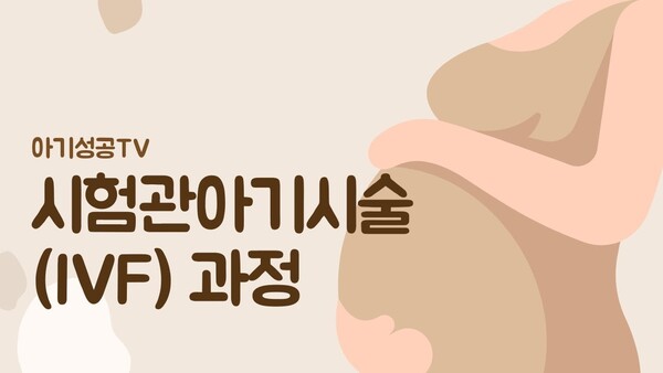 시험관아기시술 과정